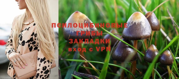 мдпв Баксан