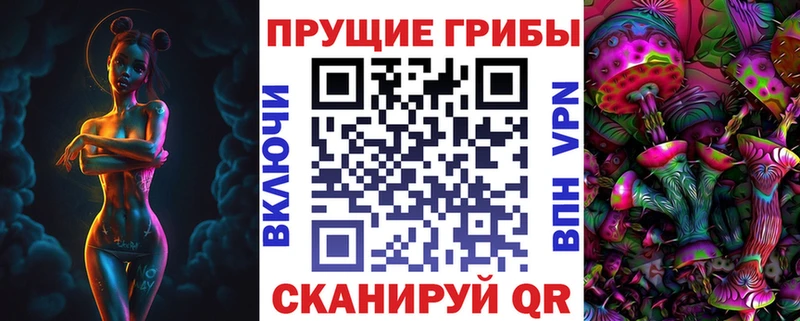 Купить  Покровск  Галлюциногенные грибы Cubensis 