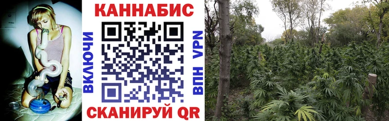 Бошки марихуана AK-47  Купить закладки  Покровск 